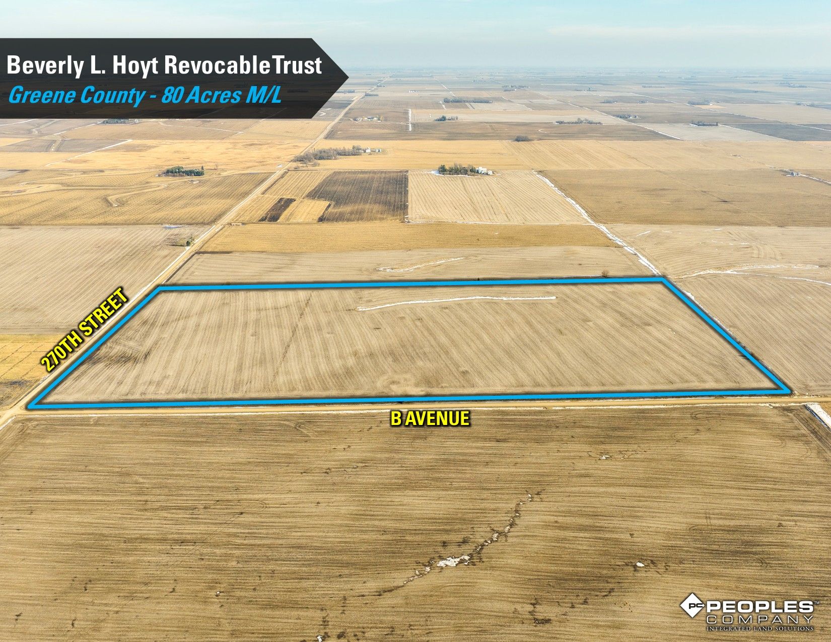 Listing Photo: Hoyt-Trust-Greene-County-Iowa-80Acres-Scranton-18837 (8)